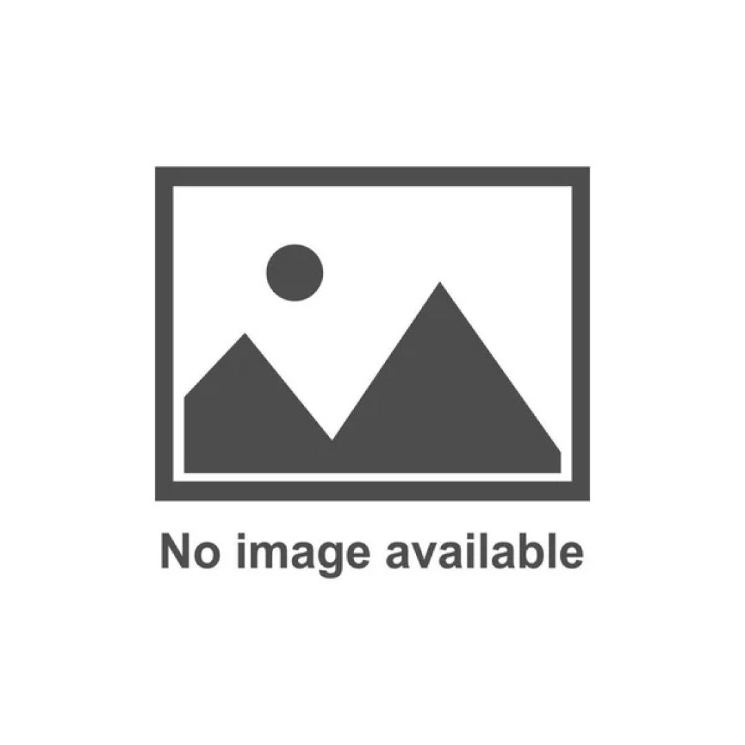 Capaian Pemulihan Aset Q1 2025