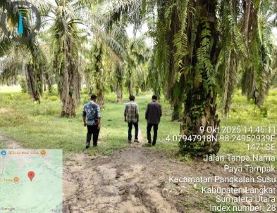 Kebun kelapa sawit yang terletak di Dusun II Bakti, Desa Paya Tampak, Kecamatan Pangkalan Susu, Kabupaten Langkat. Dengan luas tanah  ±  8000 M2  atau 20 (Dua puluh) rante, adapun kebun kelapa sawit tersebut diperoleh melalui ganti rugi dari Ishak Daud (A