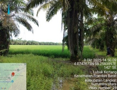 Aset Lelang
