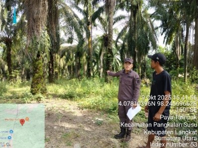 Sebidang tanah darat yang terletak di Dusun II, Desa Paya Tampak, Kecamatan Pangkalan Susu, Kabupaten Langkat. Dengan luas  ± 16,623,11 M2, adapun kebun kelapa sawit tersebut diperoleh melalui ganti rugi dari Syamsyudin pada tahun 2018, Sesuai dengan Sura