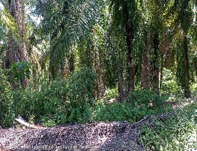 Aset Lelang